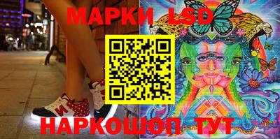 Альфа ПВП Ставрополь