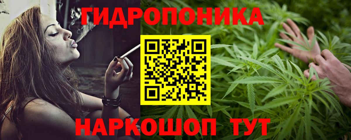 Бошки марихуана план  Вход с VPN  Норильск  Канабис тримм  Марихуана SATIVA & INDICA 